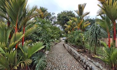 Alquiler - Casa Campestre- Parcelacion Chorro de Plata - Pance