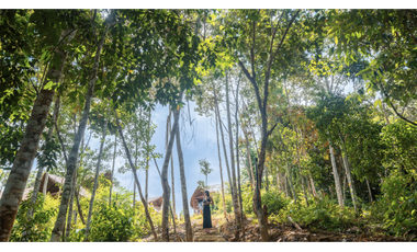 Acogedor Resort ecológico en venta en Sauce, San Martín