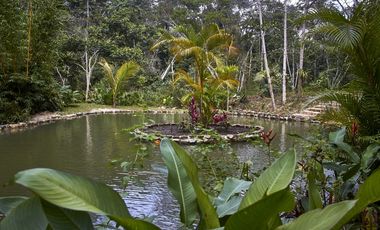 Acogedor Resort ecológico en venta en Sauce, San Martín