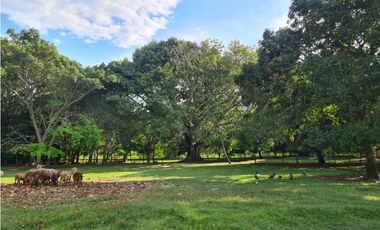Venta Finca Santa Fe de Antioquia