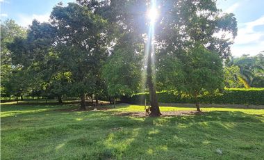 Venta Finca Santa Fe de Antioquia