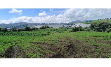 Finca en Venta – La Unión, Antioquia 16 HA. (25 cuadras). VAL.