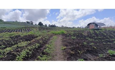 Finca en Venta – La Unión, Antioquia 16 HA. (25 cuadras). VAL.