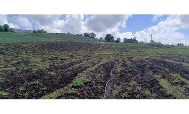 Finca en Venta – La Unión, Antioquia 16 HA. (25 cuadras). VAL.