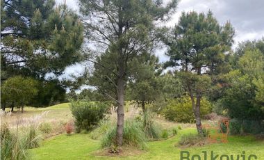 COSTA ESMERALDA -  GOLF II 317 - ALQUILER.