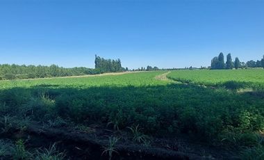 Agrícola en Venta en Gran Oportunidad Se Vende Campo Agrícola 18 hec en el Sector el Retiro Talca