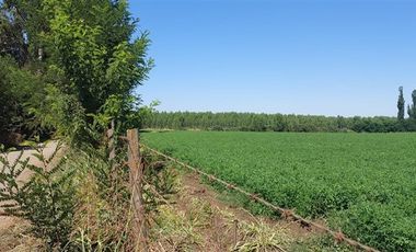 Agrícola en Venta en Gran Oportunidad Se Vende Campo Agrícola 18 hec en el Sector el Retiro Talca