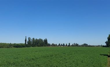 Agrícola en Venta en Gran Oportunidad Se Vende Campo Agrícola 18 hec en el Sector el Retiro Talca