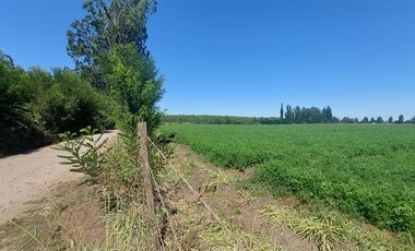Agrícola en Venta en Gran Oportunidad Se Vende Campo Agrícola 18 hec en el Sector el Retiro Talca