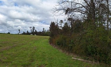 Parcela en Venta en Villarrica , entre Villarrica y Ruta 5 Sur