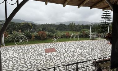 VENDO CASA FINCA VACACIONAL CON VISTA AL RIO