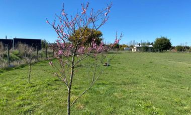 Parcela en venta en LOS ANGELES