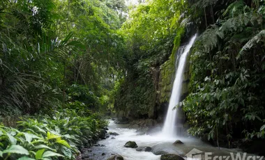 2 Bedroom Villa for sale in Blahbatu, Bali