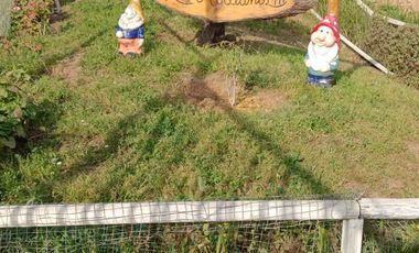 DEPTO CONDOMINIO LOS AVELLANOS  3D 1B DISPONIBLE