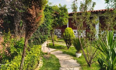 Descubre la Sombra del Frisón Tu espacio de Paz y Naturaleza