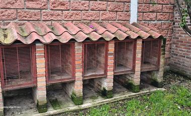 Descubre la Sombra del Frisón Tu espacio de Paz y Naturaleza