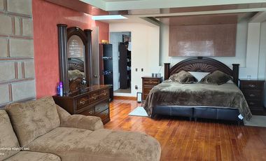 Descubre la Sombra del Frisón Tu espacio de Paz y Naturaleza