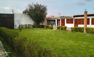 Descubre la Sombra del Frisón Tu espacio de Paz y Naturaleza