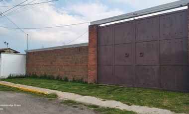 Descubre la Sombra del Frisón Tu espacio de Paz y Naturaleza