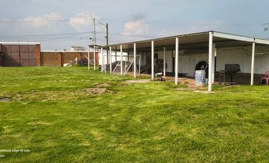 Descubre la Sombra del Frisón Tu espacio de Paz y Naturaleza