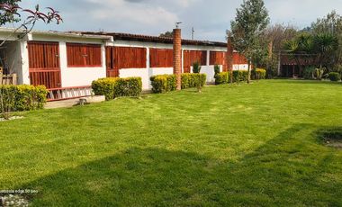 Descubre la Sombra del Frisón Tu espacio de Paz y Naturaleza