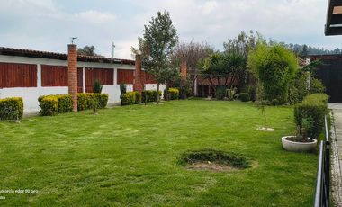 Descubre la Sombra del Frisón Tu espacio de Paz y Naturaleza