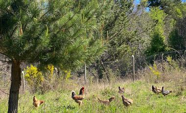 Casa en venta en NACIMIENTO