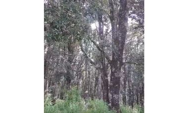 Terreno en Venta en Omitlan de Juárez (entero o por fracciones)