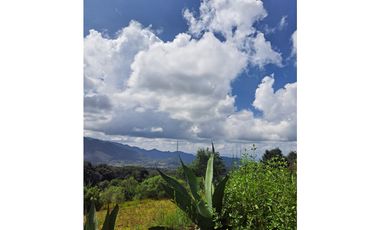 Terreno en Venta en Omitlan de Juárez (entero o por fracciones)