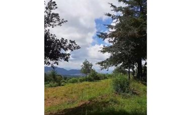 Terreno en Venta en Omitlan de Juárez (entero o por fracciones)