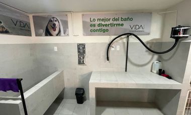 Renta de Departamento Azcapotzalco CDMX