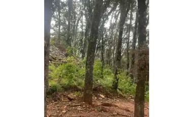 Terreno en Omitlan de Juárez