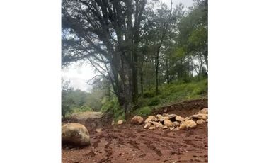 Terreno en Omitlan de Juárez