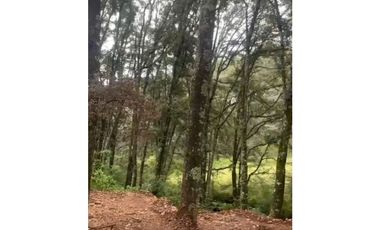 Terreno en Omitlan de Juárez