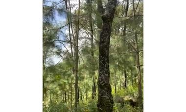 Terreno en Omitlán de Juárez