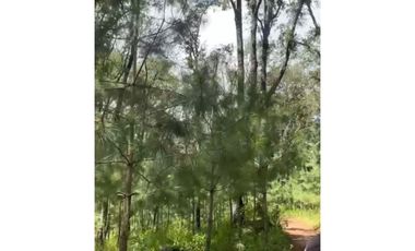 Terreno en Omitlán de Juárez