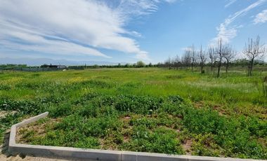 CONDOMINIO LA MASÍA