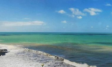 Departamento en alquiler temporario - 2 Dormitorios 2 Baños - Mar del Plata