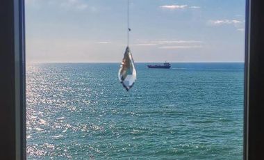 Departamento en alquiler temporario - 2 Dormitorios 2 Baños - Mar del Plata