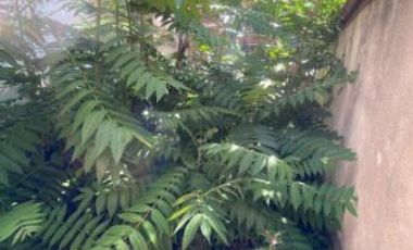 Casa ideal locales en inmejorable zona de Lomas