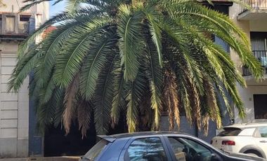 CASA  EN ALQUILER .APTO COMERCIAL IDEAL GASTRONOMICO