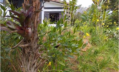 DAPA POR RACAMANDAPA FINCA EN ALQUILER CALI