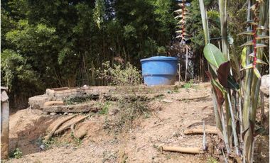 DAPA POR RACAMANDAPA FINCA EN ALQUILER CALI