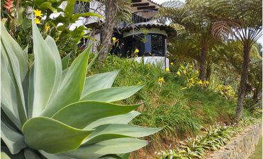 DAPA POR RACAMANDAPA FINCA EN ALQUILER CALI