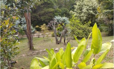 DAPA POR RACAMANDAPA FINCA EN ALQUILER CALI