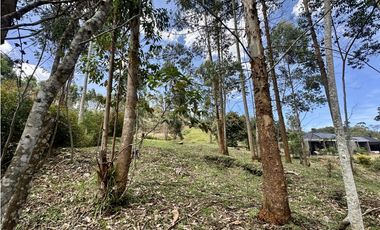 Venta De Lote En El Retiro
