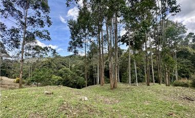 Venta De Lote En El Retiro