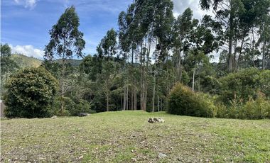 Venta De Lote En El Retiro