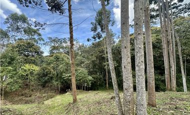 Venta De Lote En El Retiro