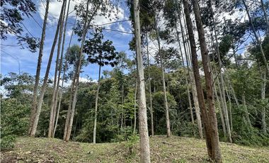 Venta De Lote En El Retiro